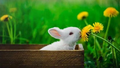 华体会体育在线-九游官方网站：探索全新游戏世界，畅享无穷乐趣